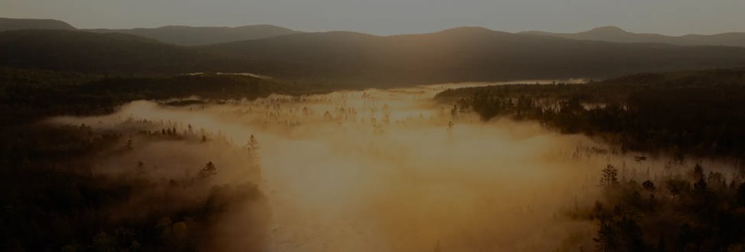 Caméra professionnelle